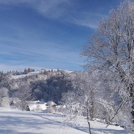 Верховинський Котедж Bukovets المظهر الخارجي الصورة