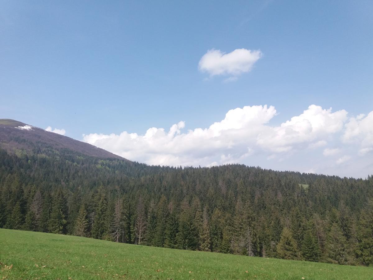 Верховинський Котедж Bukovets المظهر الخارجي الصورة