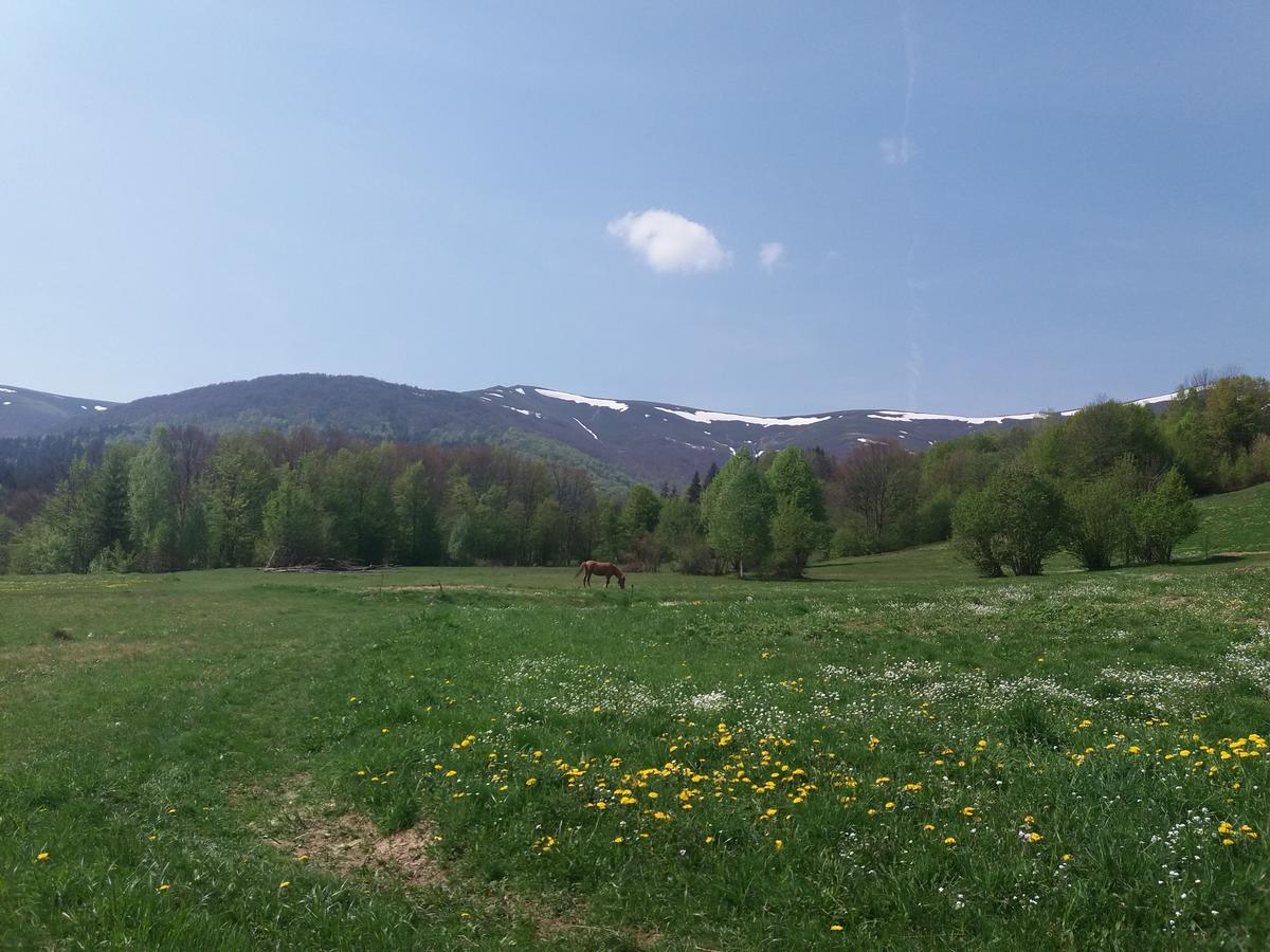 Верховинський Котедж Bukovets المظهر الخارجي الصورة