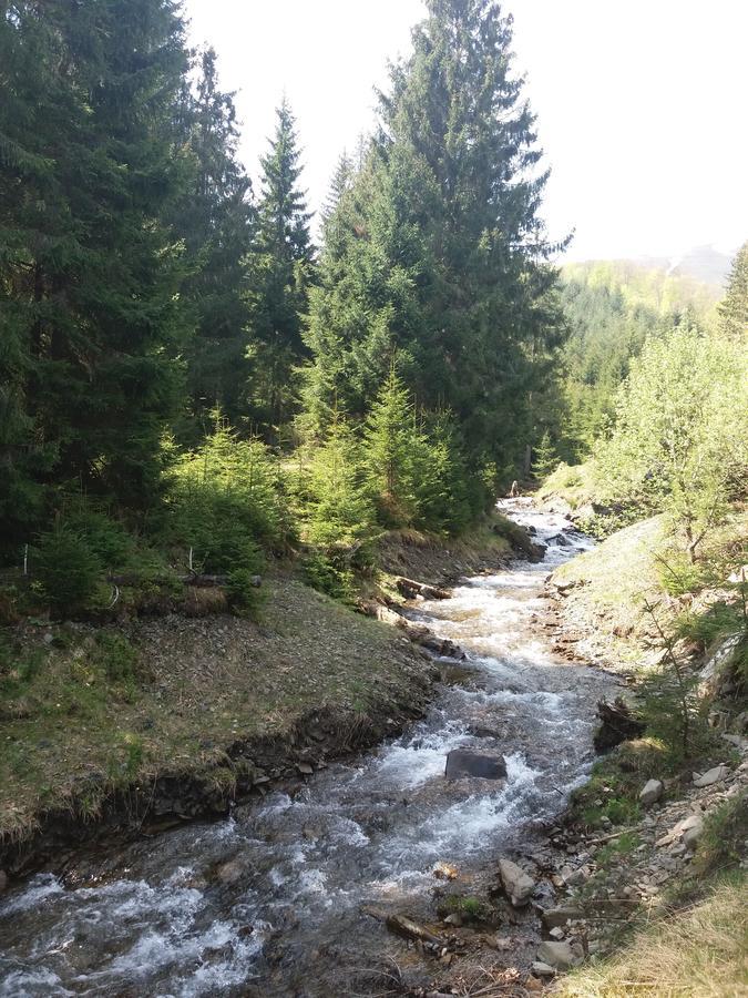 Верховинський Котедж Bukovets المظهر الخارجي الصورة